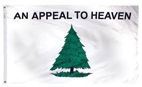 Washington Cruisers Flag
