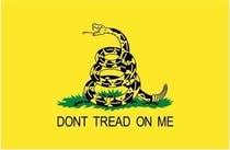 Gadsden Beach Towel