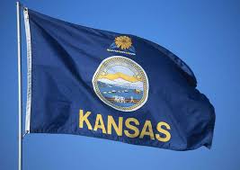 Kansas State Flag