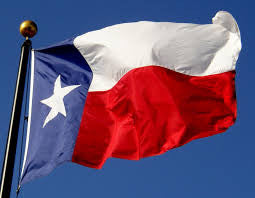 Texas State Flag