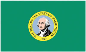 Washington State Flag - Nylon