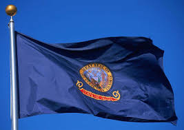 Idaho State Flag