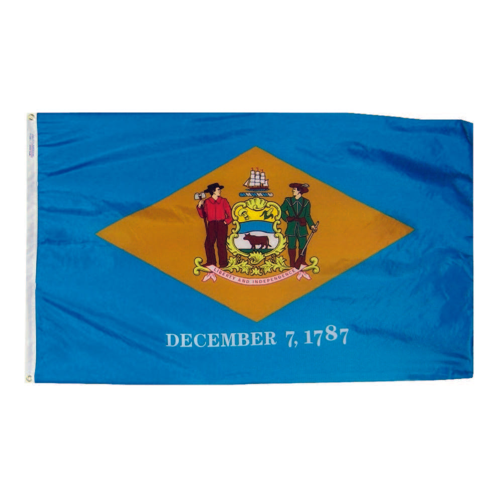Delaware State Flag - Nylon