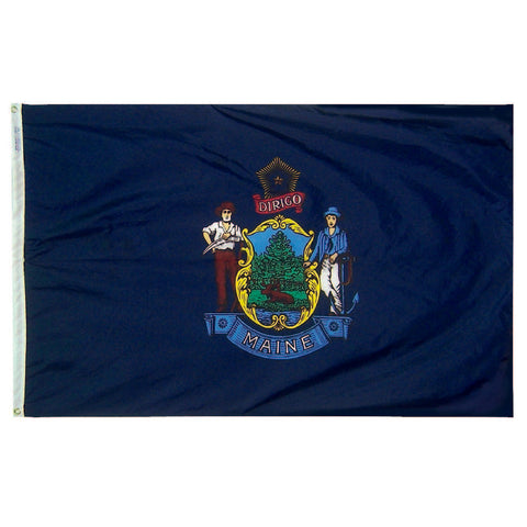 Maine State Flag - Nylon