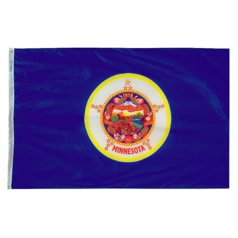 Minnesota State Flag - Nylon