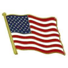 United States Lapel Pin (Two)