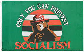 Smokey the Bear "Only You Can Prevent Socialism" Flag