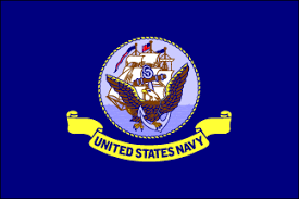 Navy - Polyester